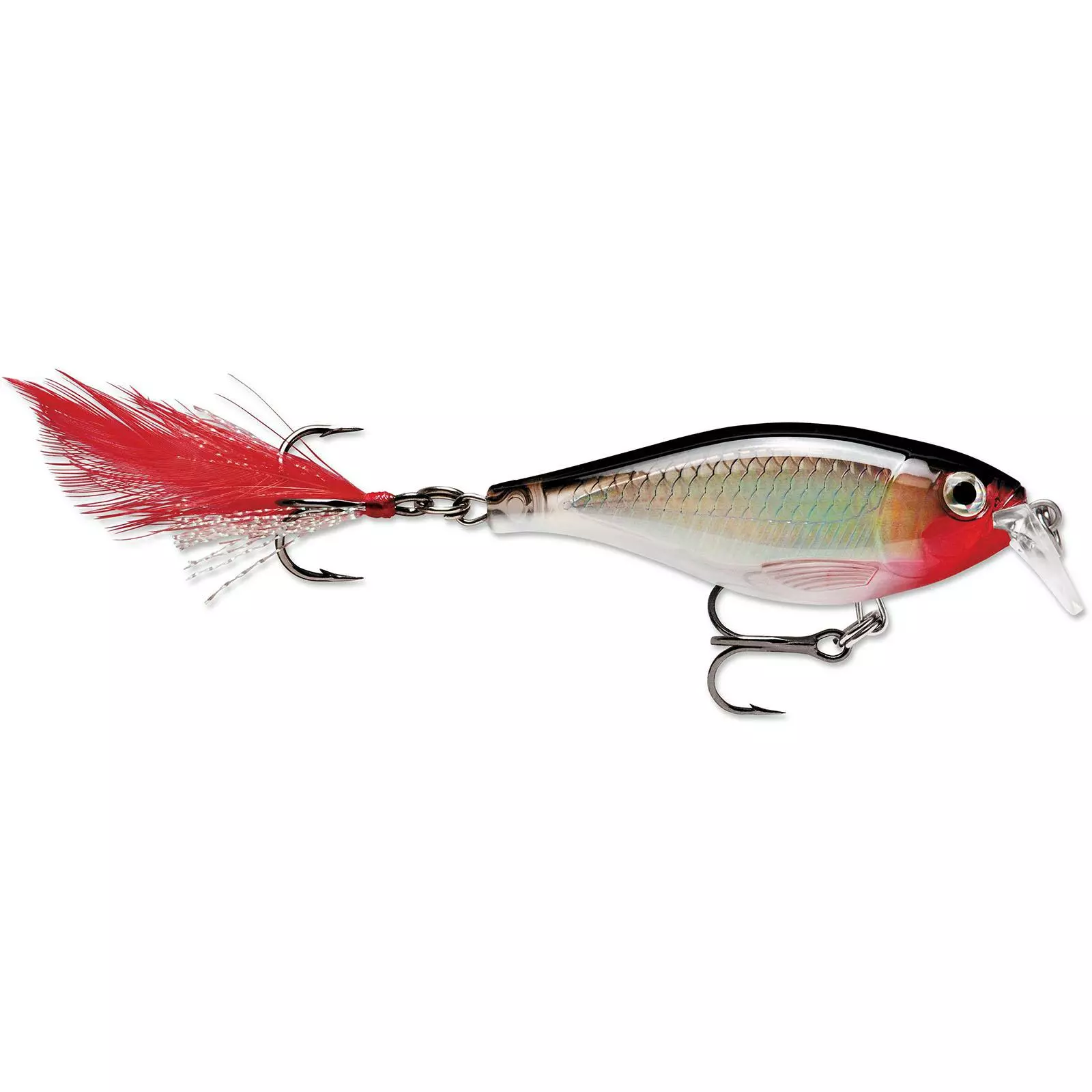 Promotion - Rapala X-Rap Shad Shallow 2 Promotion - Rapala X-Rap Shad Shallow - Image 2