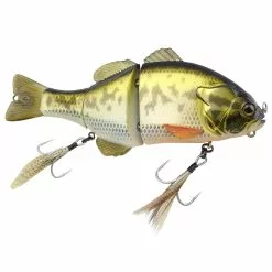 Promotion - Jackall Gantarel Jr.