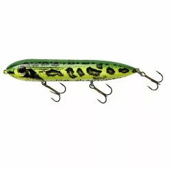 Promotion - Heddon Super Spook Topwater Bait 17 Promotion - Heddon Super Spook Topwater Bait -Deals Fishusa Store unnamed file 6069