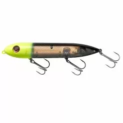 Promotion - Heddon Super Spook Topwater Bait 30 Promotion - Heddon Super Spook Topwater Bait -Deals Fishusa Store unnamed file 6082