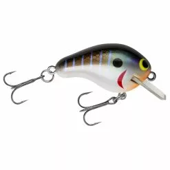 Promotion - Bagley Rattlin' Honey B -Deals Fishusa Store unnamed file 6096