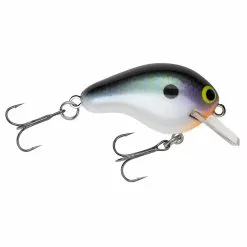 Promotion - Bagley Rattlin' Honey B -Deals Fishusa Store unnamed file 6101