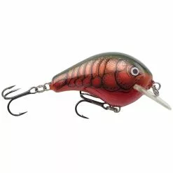 Promotion - Bagley Balsa B -Deals Fishusa Store unnamed file 6159