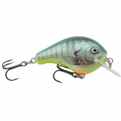 Promotion - Bagley Balsa B -Deals Fishusa Store unnamed file 6164