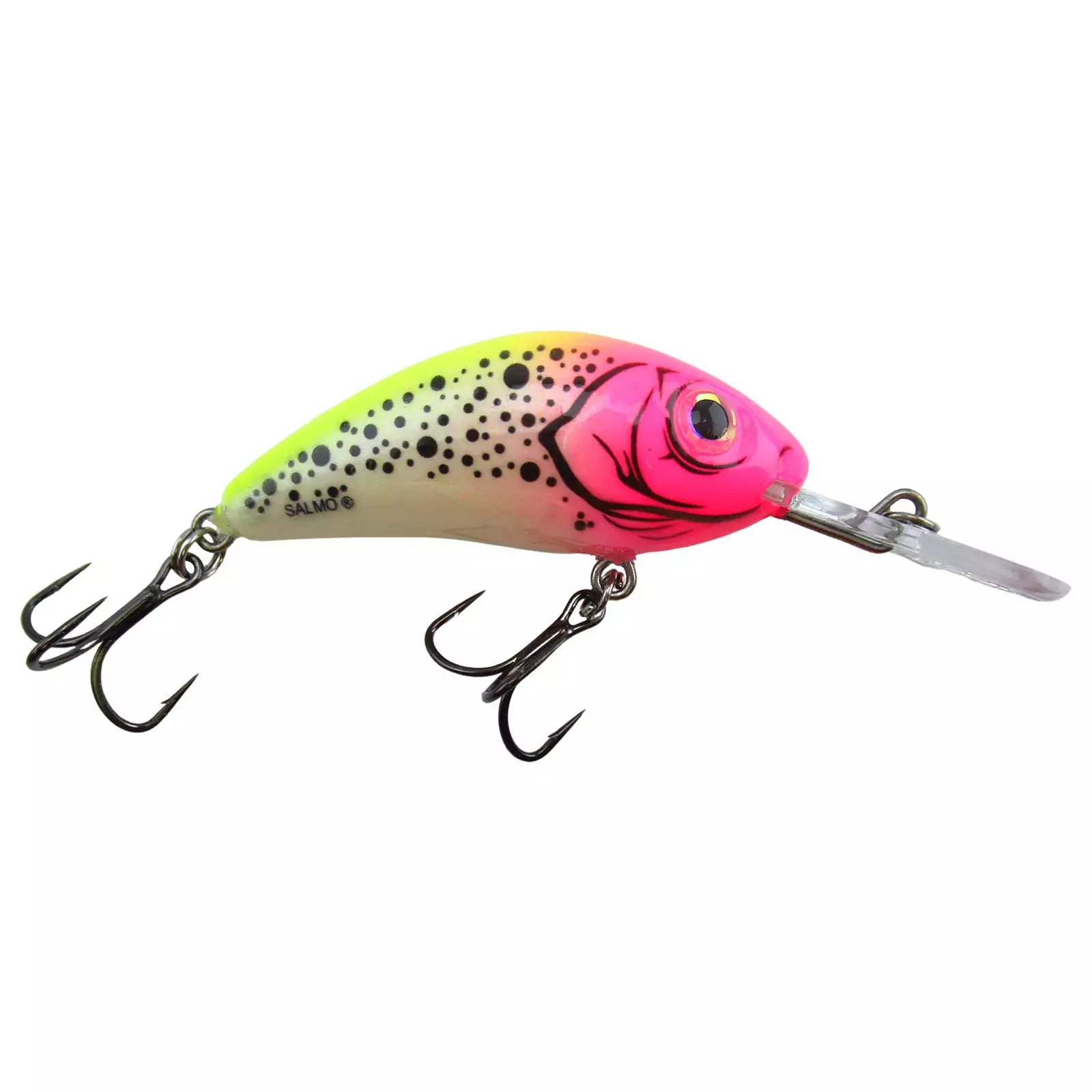 Promotion - Salmo Rattlin' Hornet Floating Crankbait 8 Promotion - Salmo Rattlin' Hornet Floating Crankbait - Image 8