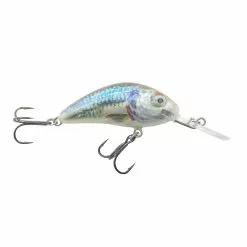 Promotion - Salmo Rattlin' Hornet Floating Crankbait 26 Promotion - Salmo Rattlin' Hornet Floating Crankbait -Deals Fishusa Store unnamed file 6238