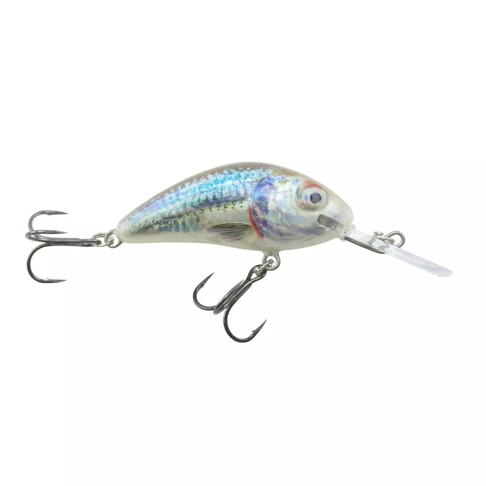 Promotion - Salmo Rattlin' Hornet Floating Crankbait 10 Promotion - Salmo Rattlin' Hornet Floating Crankbait - Image 10