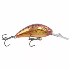 Promotion - Salmo Rattlin' Hornet Floating Crankbait 27 Promotion - Salmo Rattlin' Hornet Floating Crankbait -Deals Fishusa Store unnamed file 6239