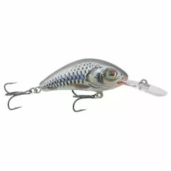 Promotion - Salmo Rattlin' Hornet Floating Crankbait 28 Promotion - Salmo Rattlin' Hornet Floating Crankbait -Deals Fishusa Store unnamed file 6240