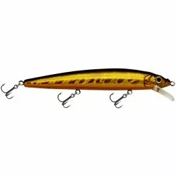 Promotion - Challenger Minnow