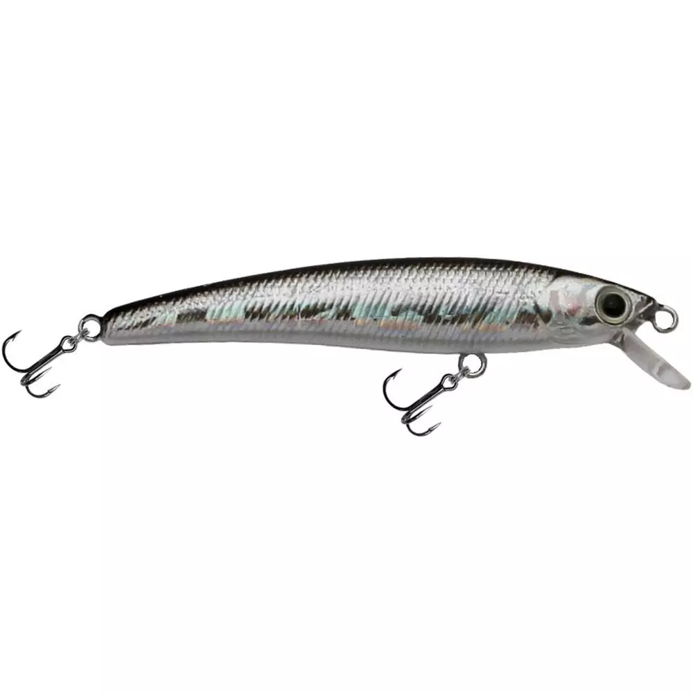Promotion - Challenger Micro Minnow 1 Promotion - Challenger Micro Minnow