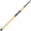 Promotion - Lamiglas Black Inshore Spinning Rod