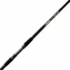 Promotion - Lamiglas Insane Surf Spinning Rod