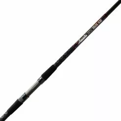 Promotion - Lamiglas Insane Surf Spinning Rod