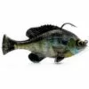 Promotion - Savage Gear Pulse Tail RTF Bluegill Soft Bait