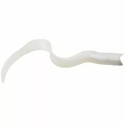 Promotion - Savage Gear Real Eel Soft Bait -Deals Fishusa Store unnamed file 7146