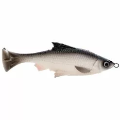 Promotion - Savage Gear Pulse Tail LB Shiner Soft Bait 11 Promotion - Savage Gear Pulse Tail LB Shiner Soft Bait -Deals Fishusa Store unnamed file 7228