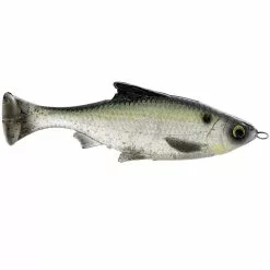 Promotion - Savage Gear Pulse Tail LB Shiner Soft Bait 14 Promotion - Savage Gear Pulse Tail LB Shiner Soft Bait -Deals Fishusa Store unnamed file 7231
