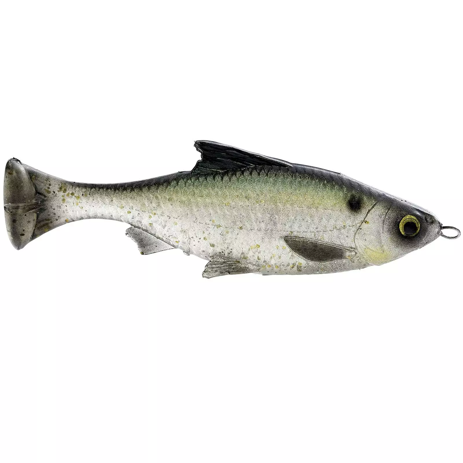 Promotion - Savage Gear Pulse Tail LB Shiner Soft Bait 7 Promotion - Savage Gear Pulse Tail LB Shiner Soft Bait - Image 7