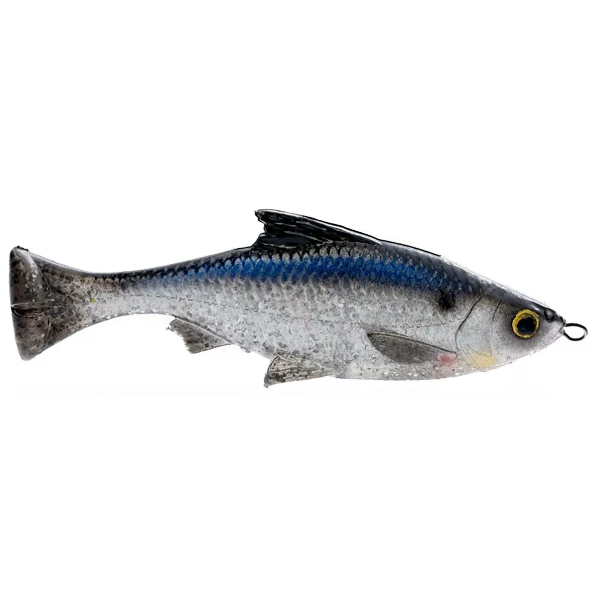 Promotion - Savage Gear Pulse Tail LB Shiner Soft Bait 8 Promotion - Savage Gear Pulse Tail LB Shiner Soft Bait - Image 8