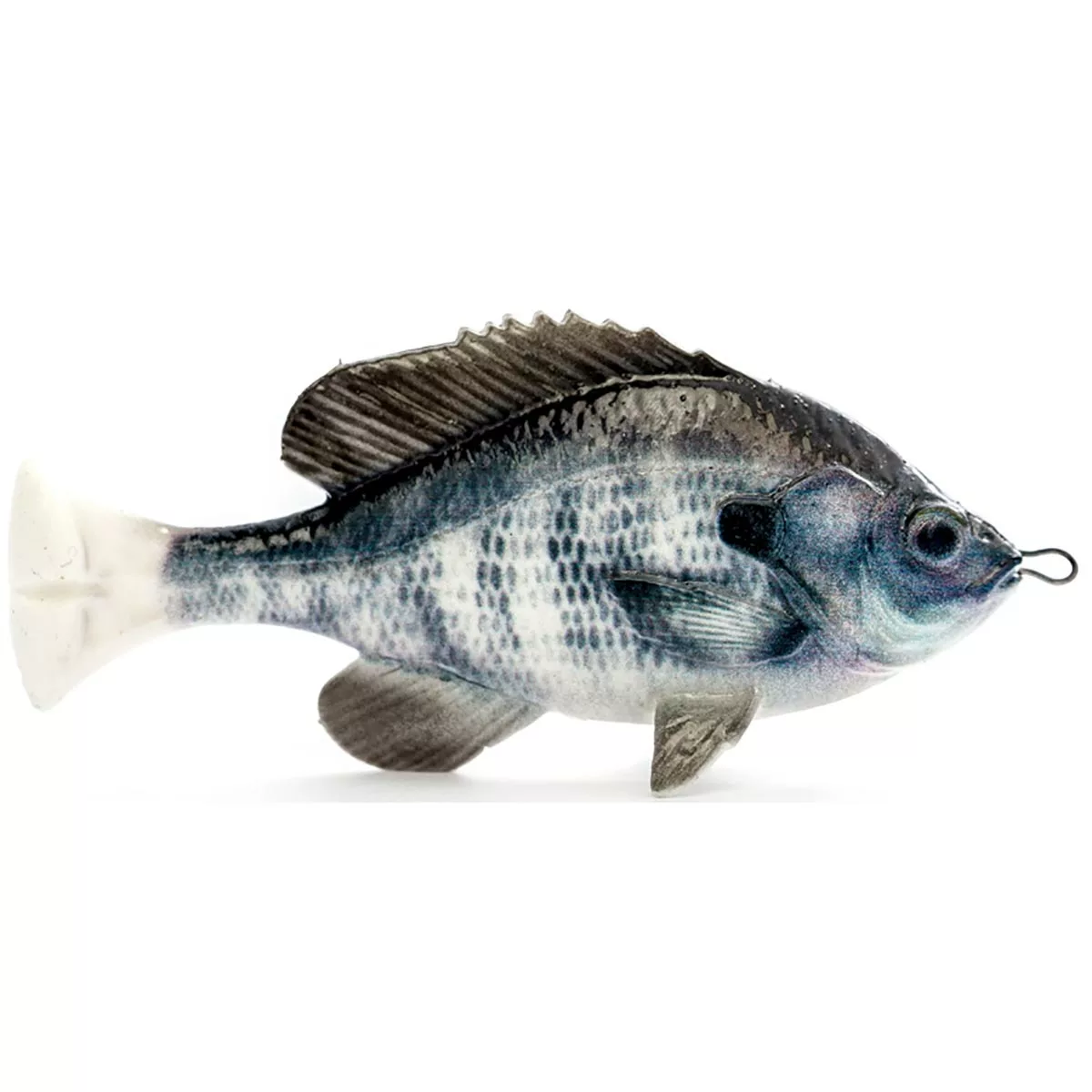 Promotion - Savage Gear Pulse Tail LB Bluegill Soft Bait 2 Promotion - Savage Gear Pulse Tail LB Bluegill Soft Bait - Image 2