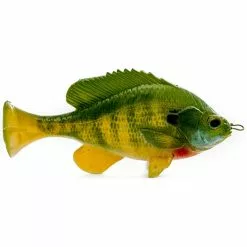 Promotion - Savage Gear Pulse Tail LB Bluegill Soft Bait 11 Promotion - Savage Gear Pulse Tail LB Bluegill Soft Bait -Deals Fishusa Store unnamed file 7248
