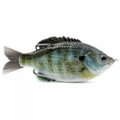 Promotion - Savage Gear DC Slide Gill Bait -Deals Fishusa Store unnamed file 7253