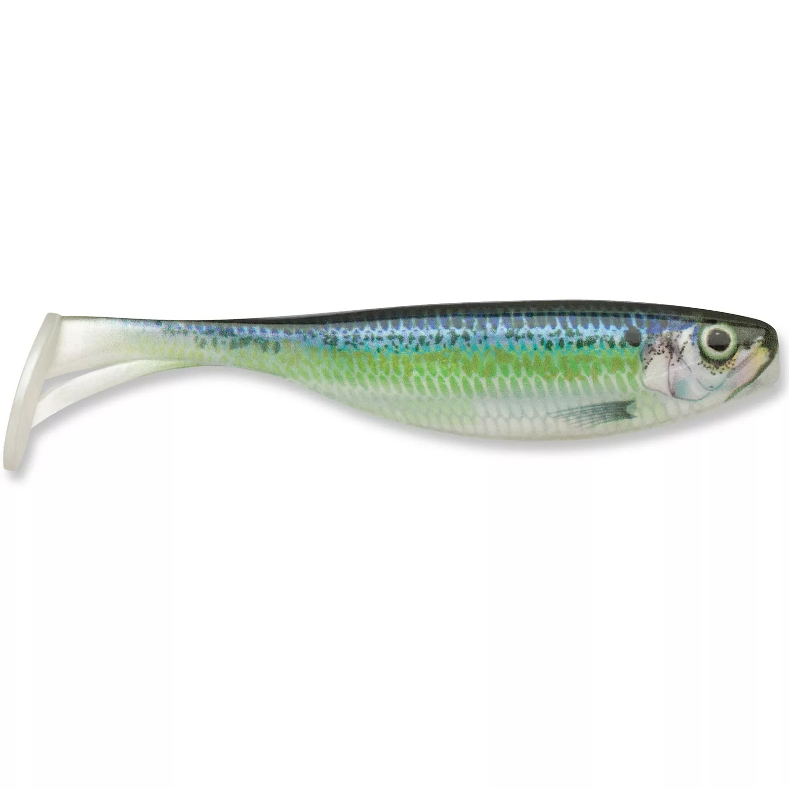 Promotion - Storm Largo Shad Soft Swimbait 9 Promotion - Storm Largo Shad Soft Swimbait - Image 9