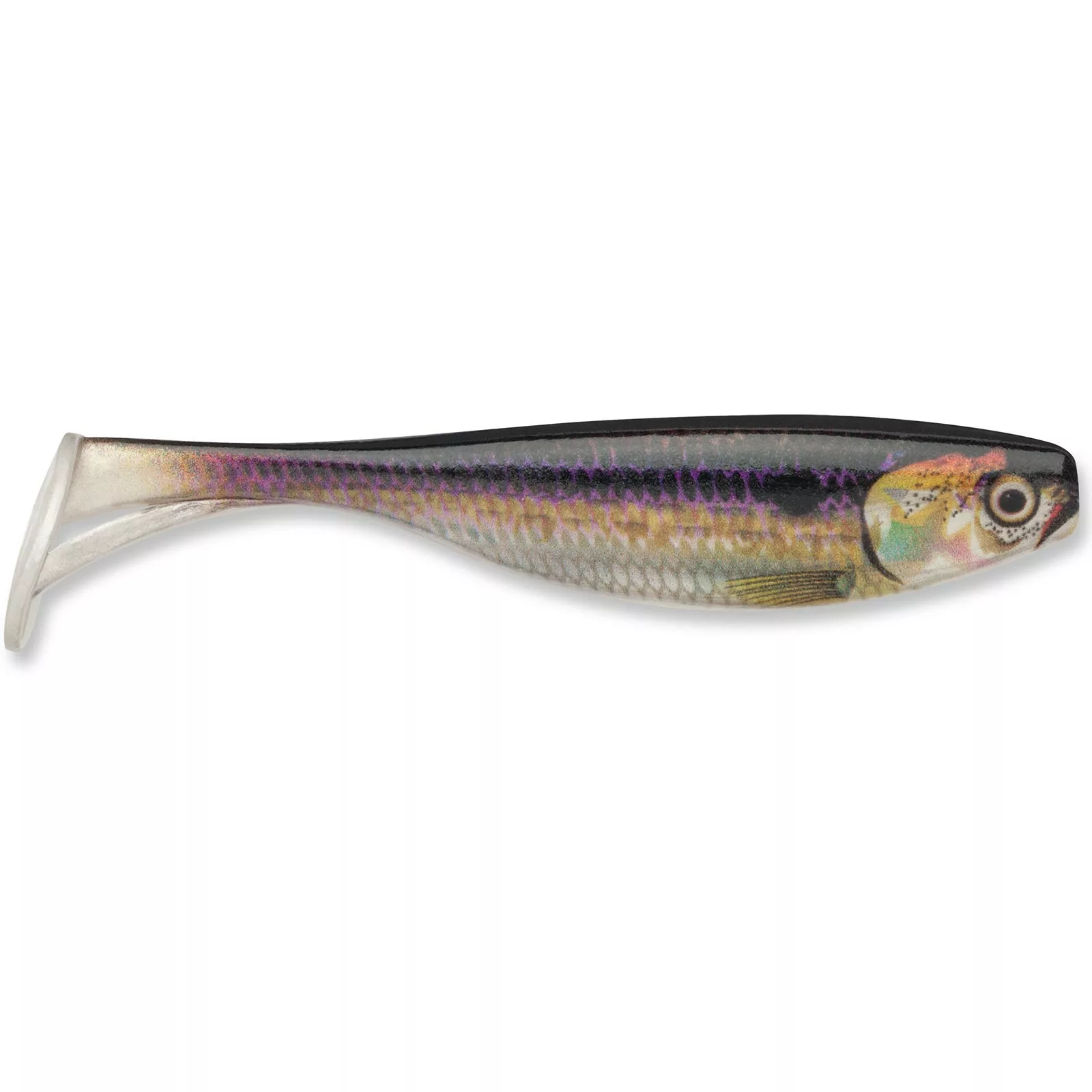 Promotion - Storm Largo Shad Soft Swimbait 10 Promotion - Storm Largo Shad Soft Swimbait - Image 10
