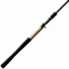 Promotion - St. Croix Victory Casting Rod