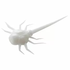 Promotion - 13 Fishing Coconut Crab Superior Soft Plastics -Deals Fishusa Store unnamed file 8014