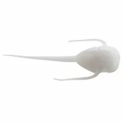 Promotion - 13 Fishing Paralyzer Superior Soft Plastics 12 Promotion - 13 Fishing Paralyzer Superior Soft Plastics -Deals Fishusa Store unnamed file 8024