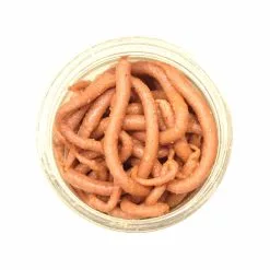 Promotion - Berkley Gulp! Earthworms