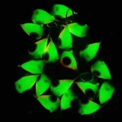 Promotion - Widow Maker Lures Dropper Series Tungsten Jigs -Deals Fishusa Store unnamed file 8551