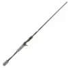 Promotion - Cashion CORE Series Casting Rod